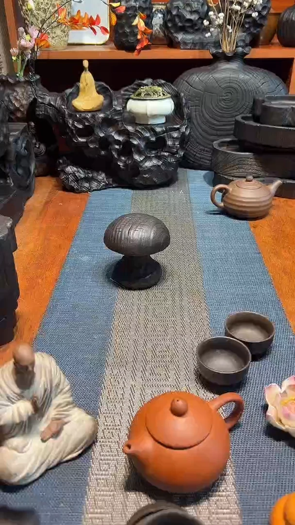 香樟木香樟木 一物一拍