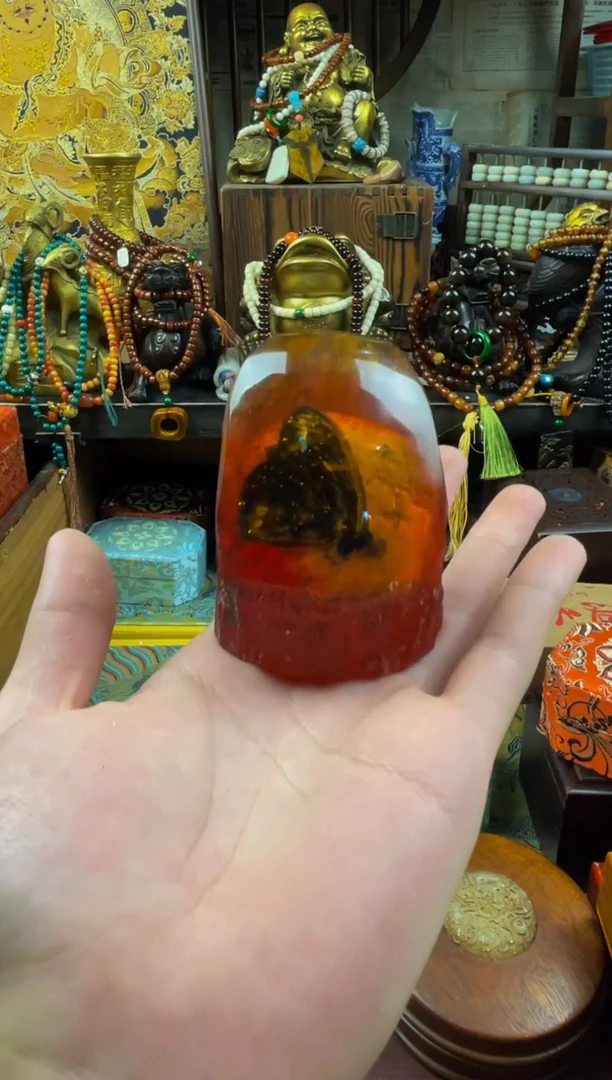 裸石琥珀未镶嵌小熊拖鞋直播精选推荐