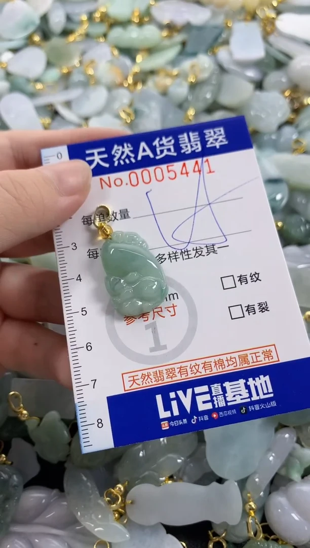颈饰未镶嵌翡翠天然A货翡翠