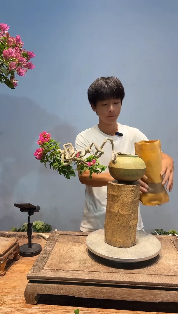 全部花朵环**板三角梅2