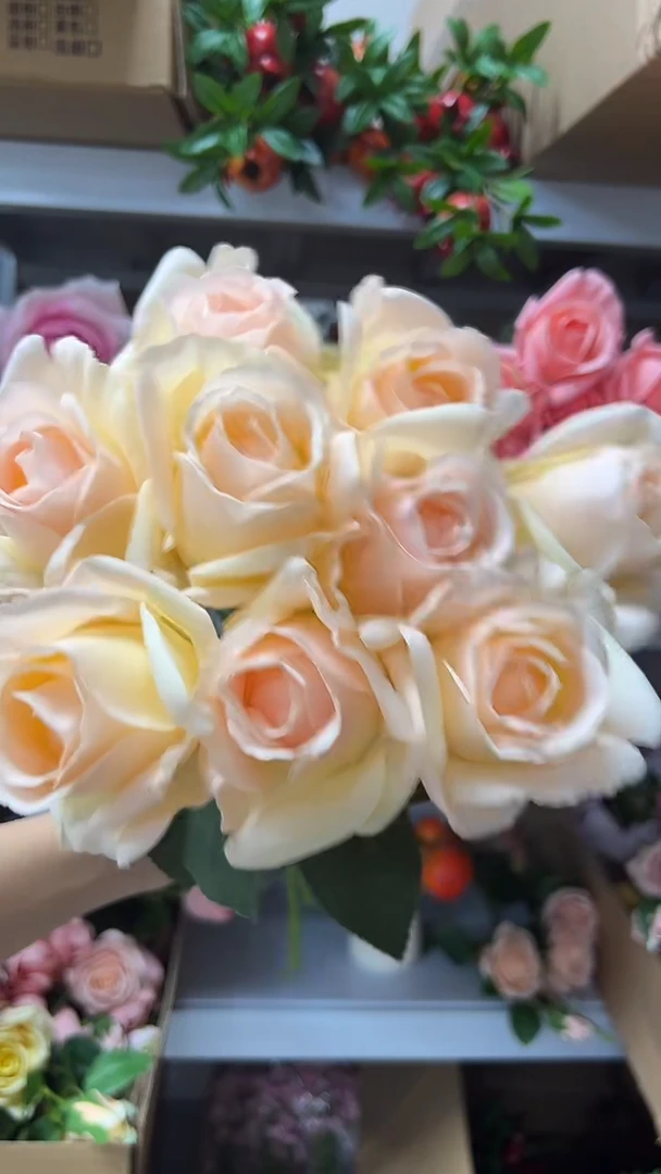 10枝香槟色手感保湿贝拉