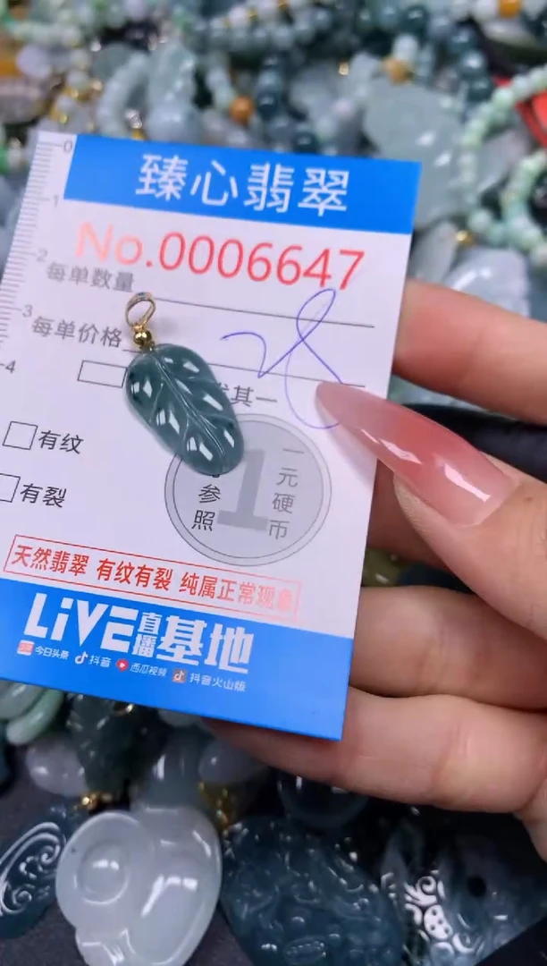 【闪购商品】翡翠颈饰未镶嵌含绳0006647