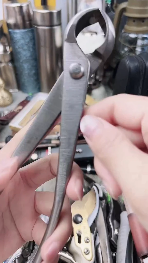 瓷片瓷片东京很热杂货正品保证