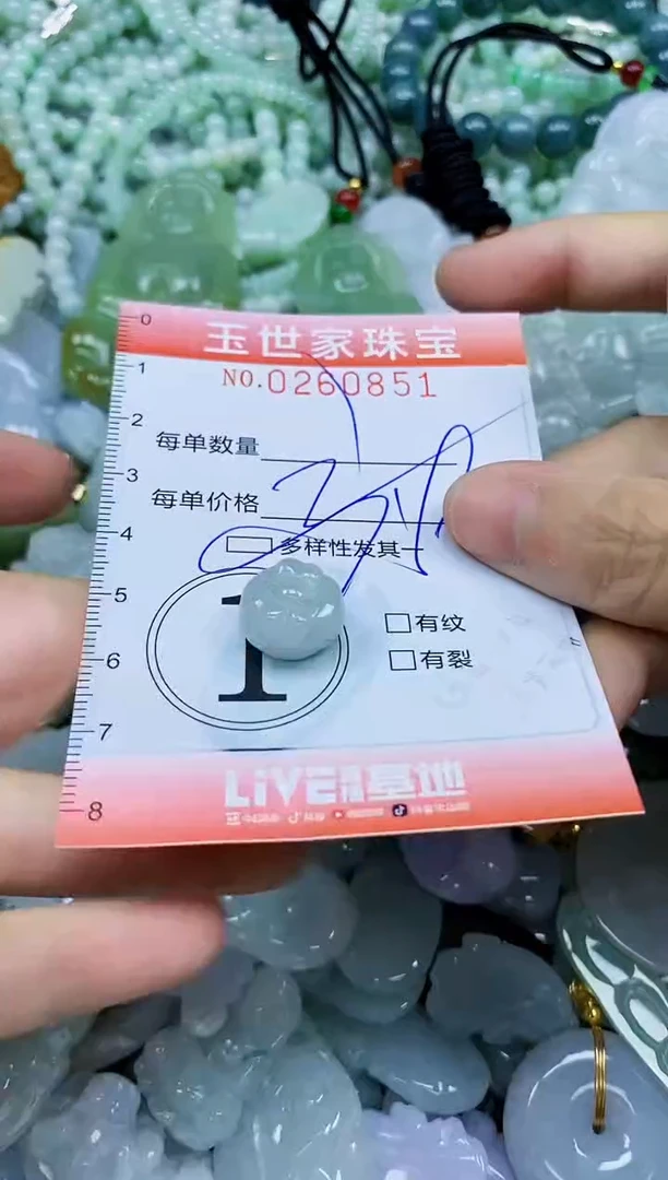 翡翠未镶嵌颈饰闪购0260851多样性发其一