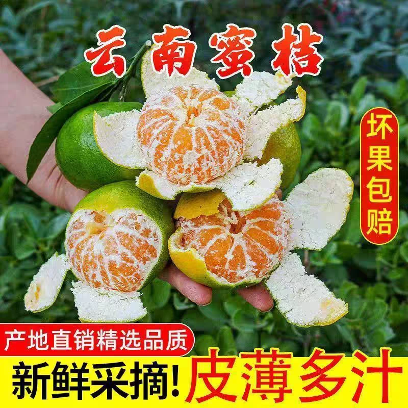云南青皮蜜桔新鲜现摘应季水果酸甜多汁无籽果肉饱满口感好