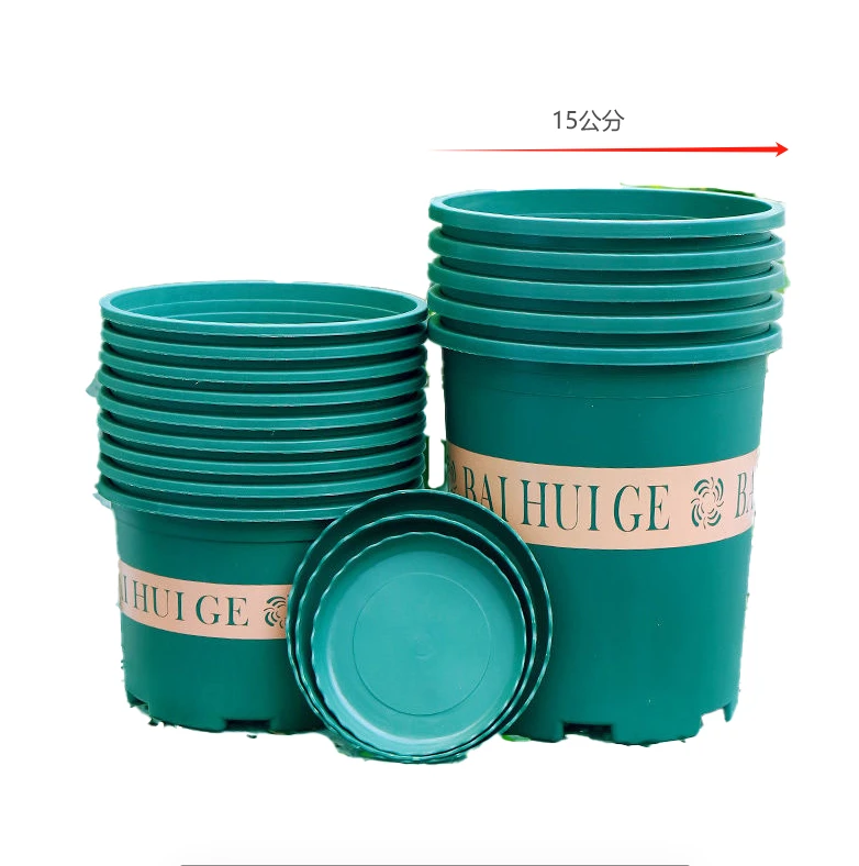 【小方绿植园艺】120青山盆   粉丝专享