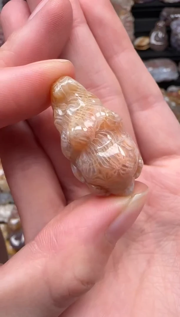 颈饰未镶嵌硅化珊瑚（珊瑚玉）674