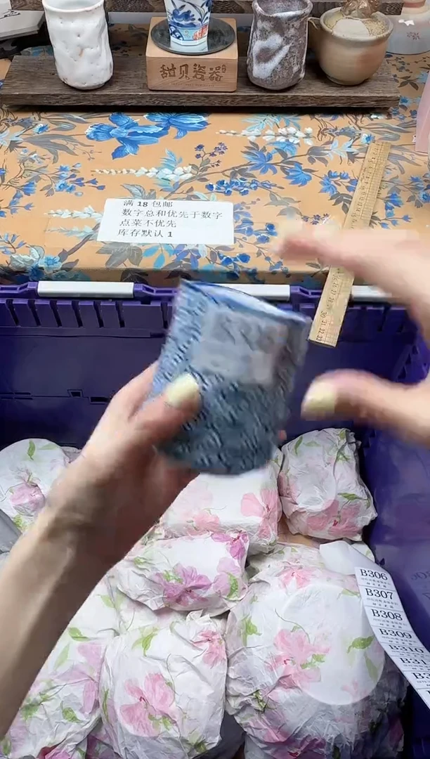 瓷片L*N                B305