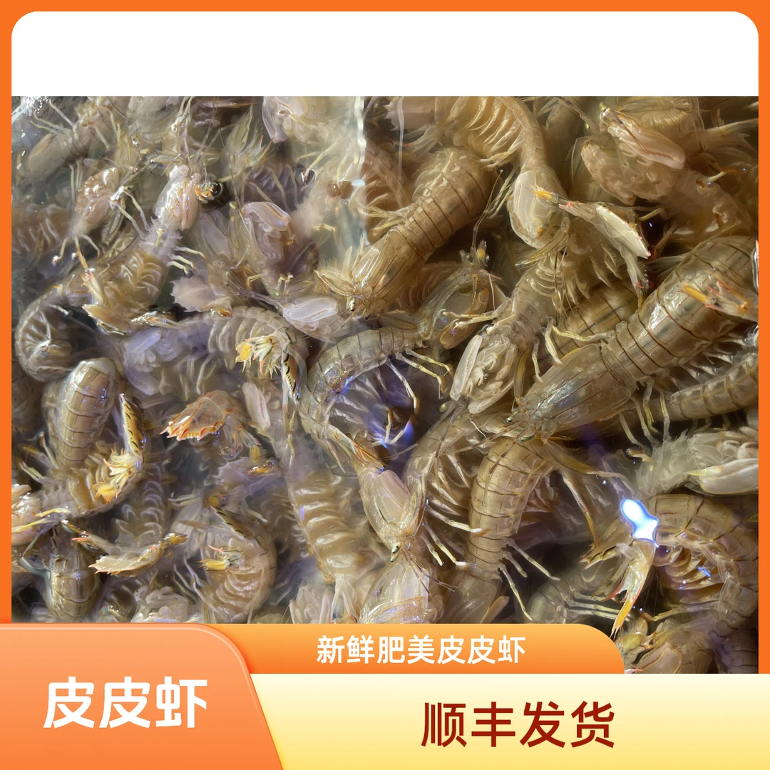 精品皮皮虾【保鲜不保活】3斤