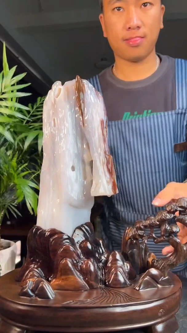 未镶嵌硅化玉（树化玉）珠宝奇石1110