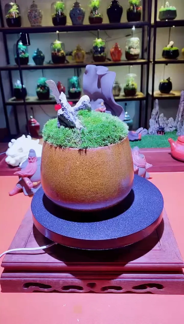 吉鑫福利精选福力