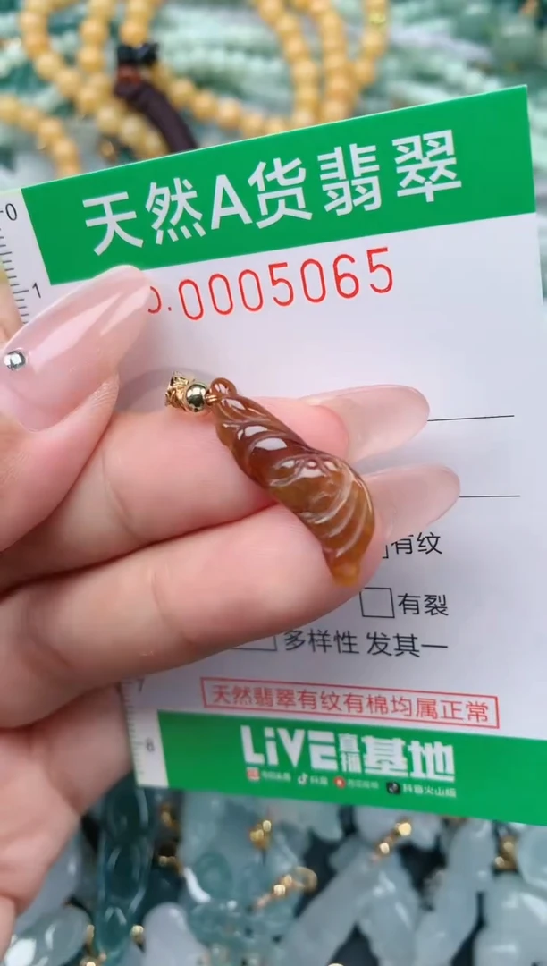 翡翠未镶嵌颈饰.0005065