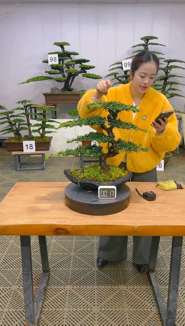 无花朵一物一拍一物一拍