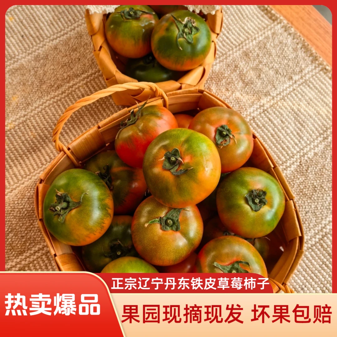 锦江汇 北纬41° 正宗丹东水果铁皮草莓柿子 果园现摘现发 包邮