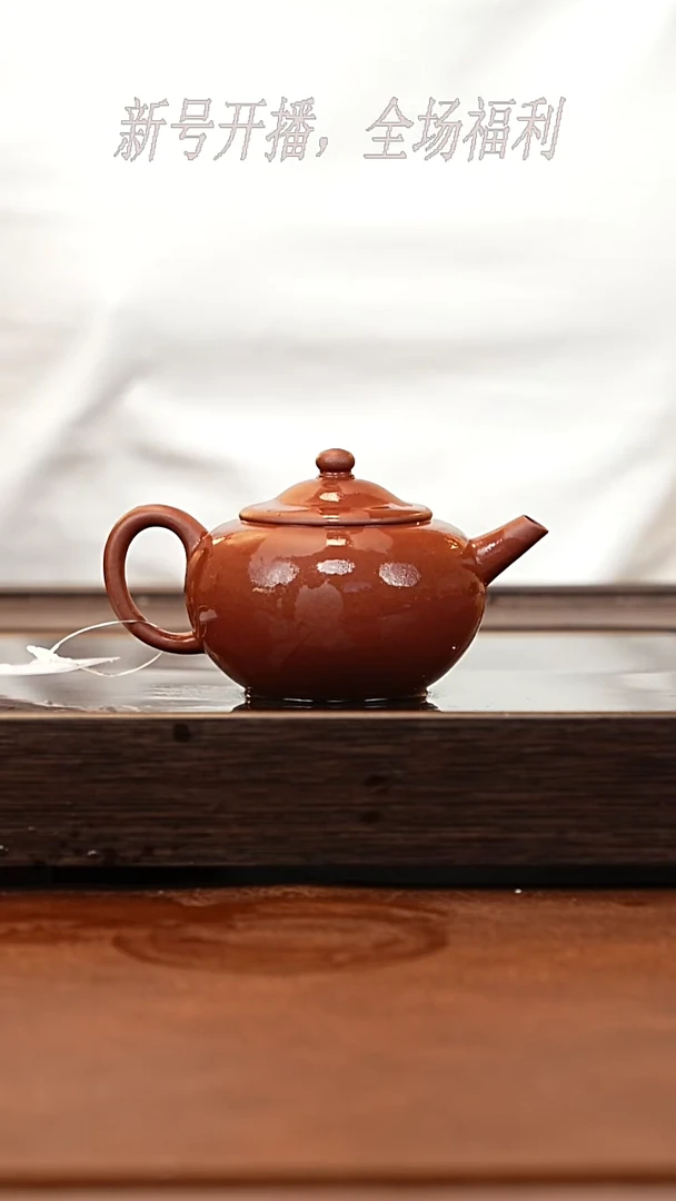茶壶紫砂19Y20笠帽