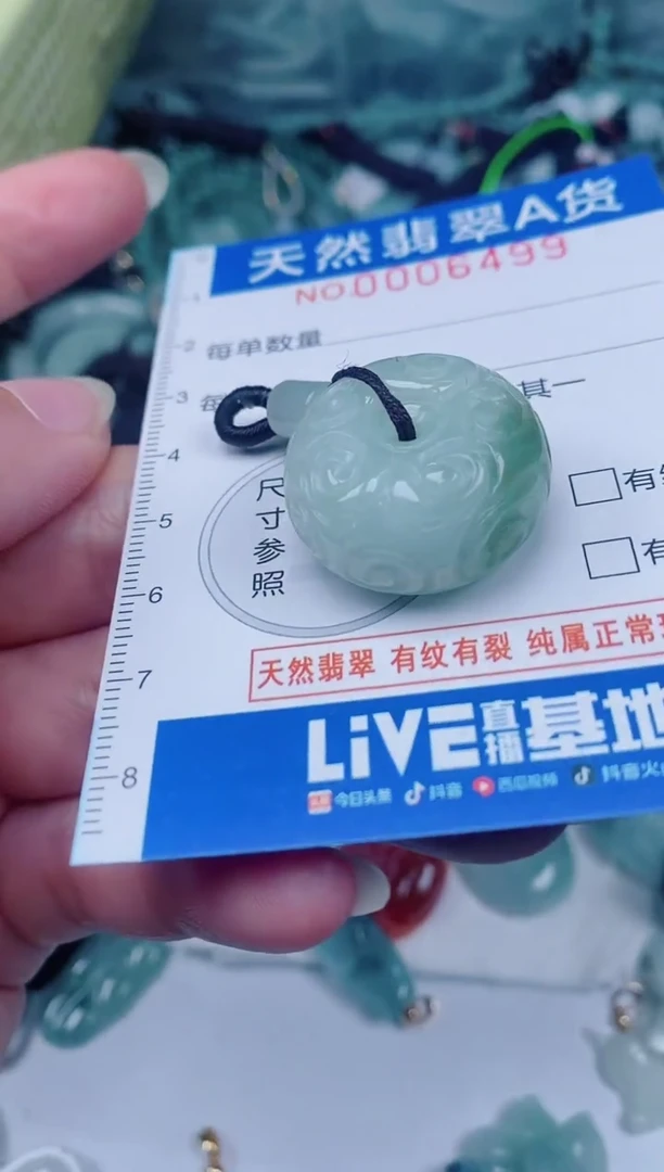 颈饰未镶嵌翡翠00006499