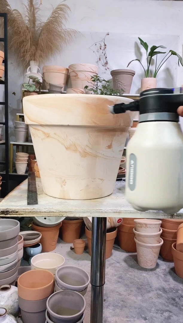 35*30玛奇朵 1盆无托