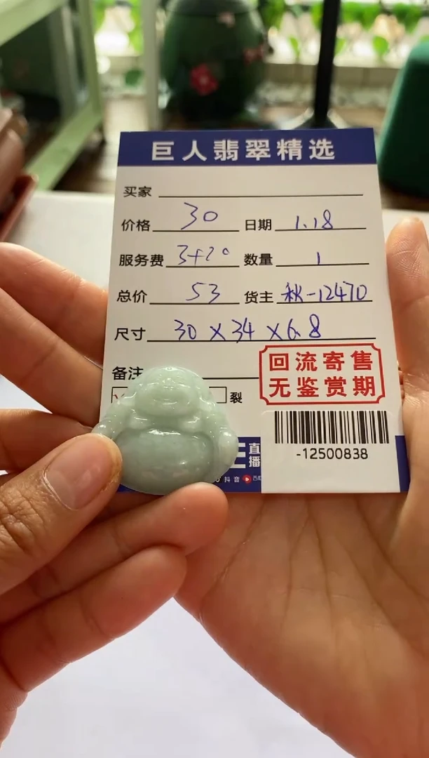 【闪购商品】翡翠颈饰未镶嵌多人-12500838