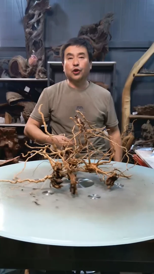 502清香阁清香阁清香阁