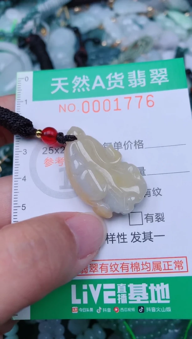 颈饰未镶嵌翡翠.0001776
