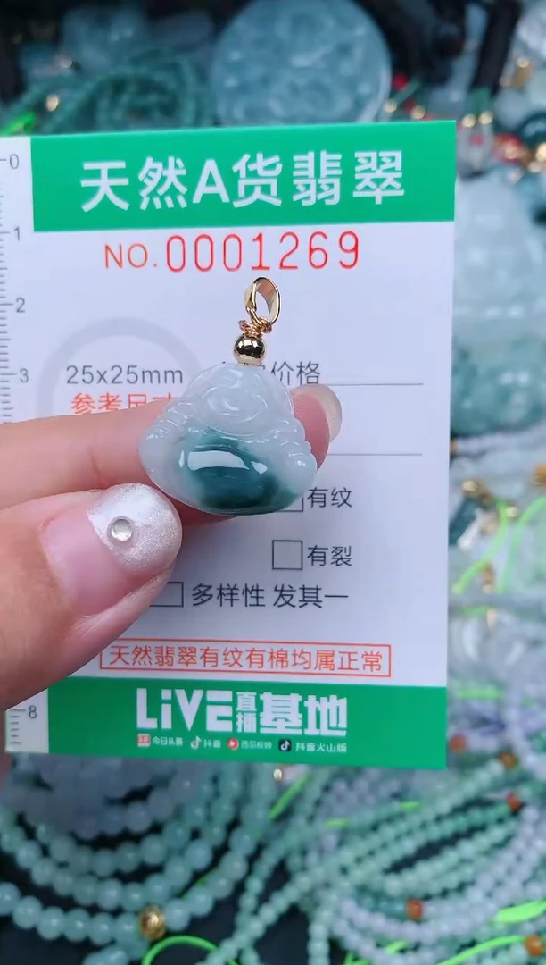 颈饰未镶嵌翡翠.0001269