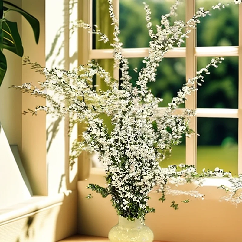 【二姐夫】方德鲜支雪柳云南鲜花顺丰包邮