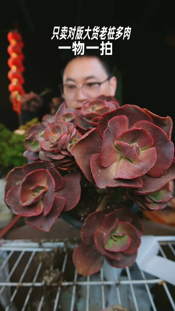 【闪购商品】秀妍30号