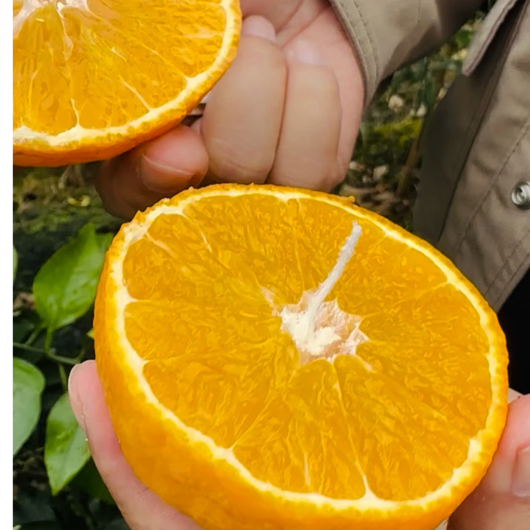 沃然农业自家果园生产，爱媛果冻橙新鲜当季水果多汁维C丰富