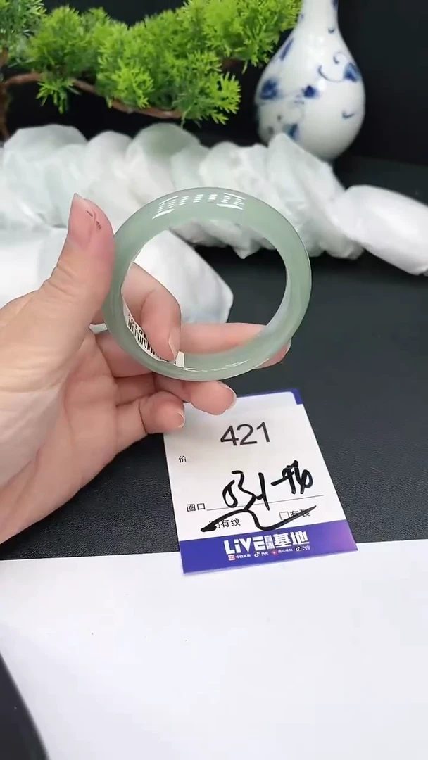 未镶嵌手镯翡翠421