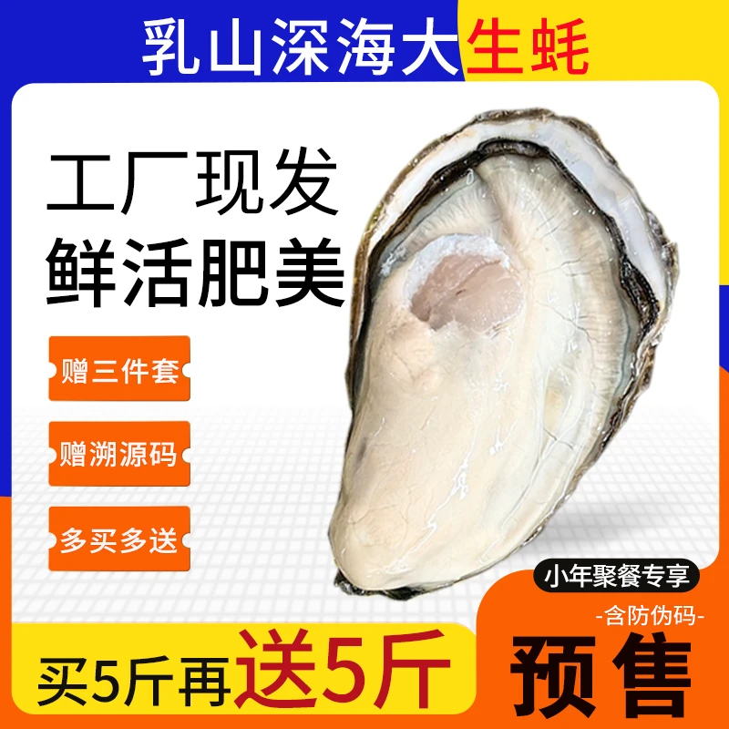 年夜饭预约丨正宗精品乳山生蚝丨买5斤送5斤 共10斤鲜活海鲜
