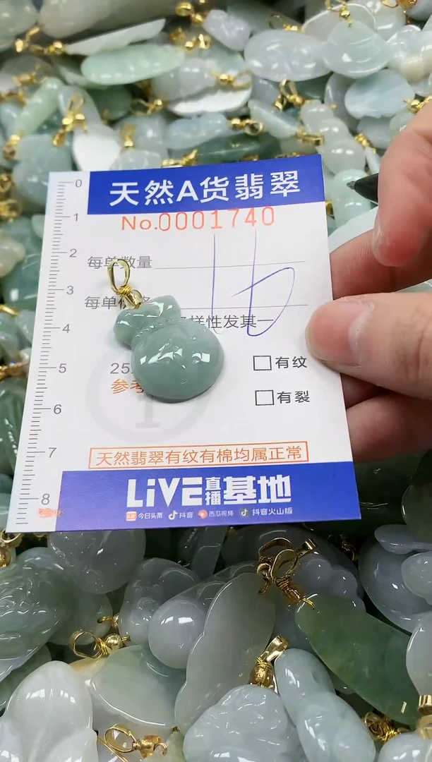 颈饰未镶嵌翡翠纯天然a货翡翠