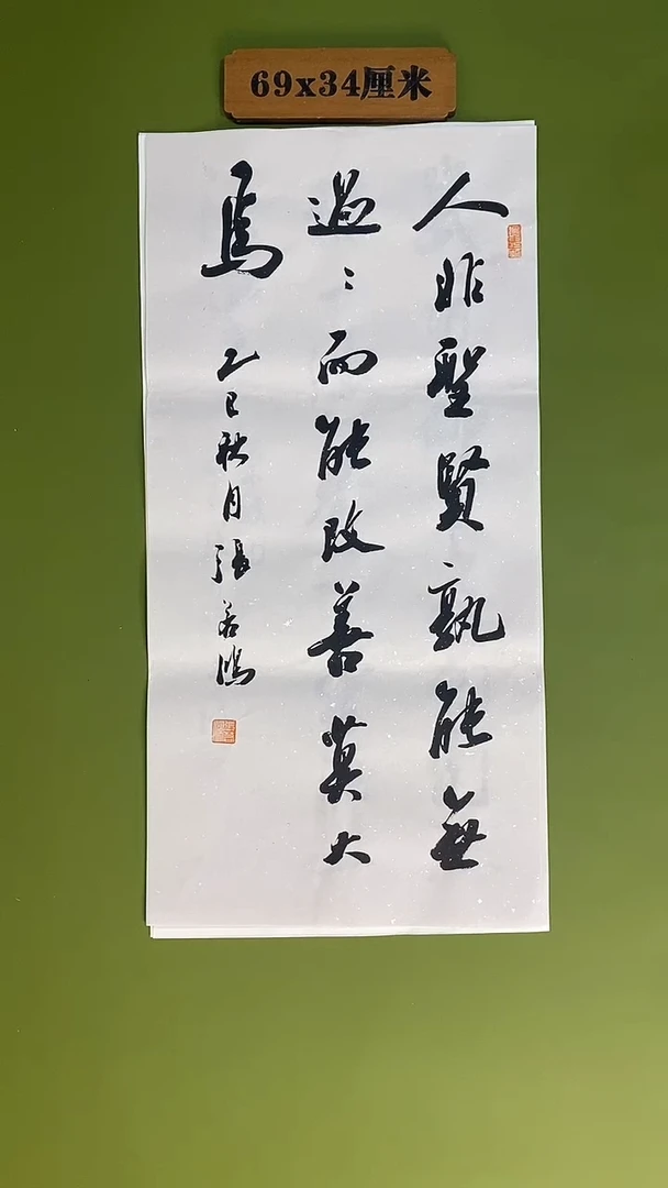 书法书法 张若鸿 尺寸69cm*34cm