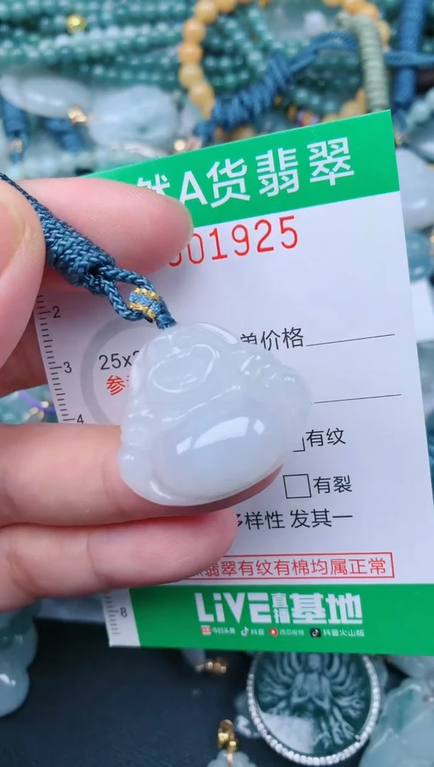 翡翠未镶嵌颈饰.0001925