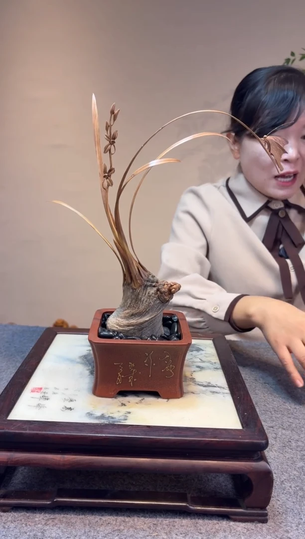 柏木（崖柏）鐘**宴崖柏崖柏