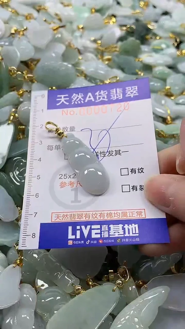 颈饰未镶嵌翡翠纯天然a货翡翠