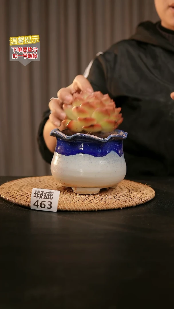 瓷片463瑕疵款，口约9-10  高约9-10