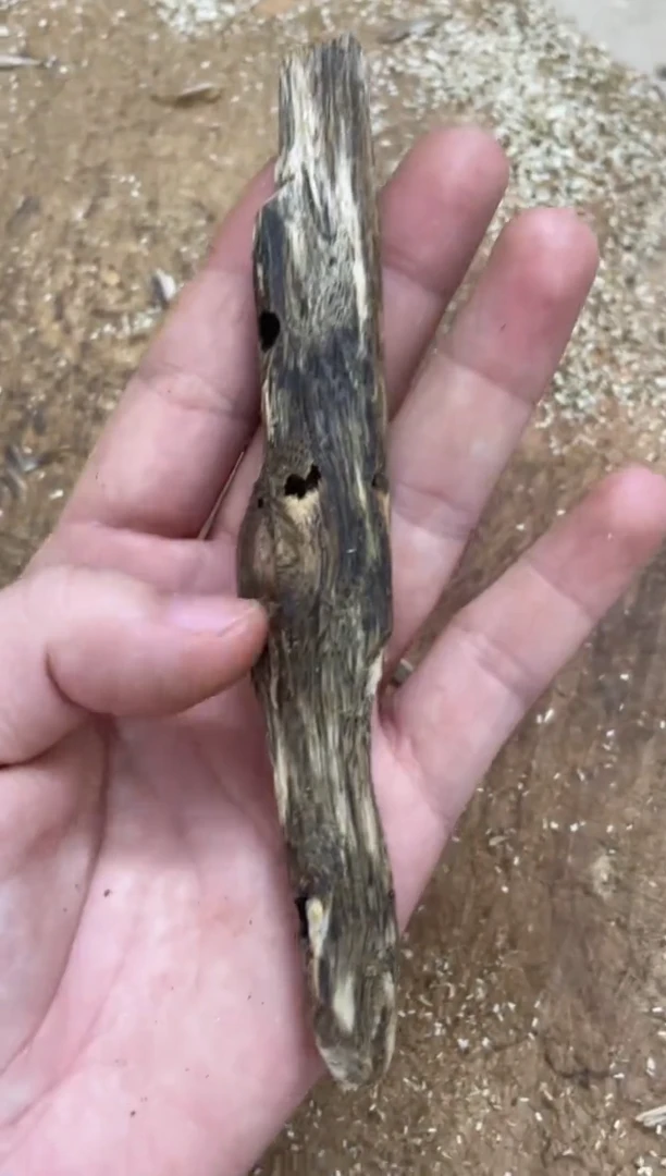 沉香碎屑沉香棋楠沉香 原料文创1