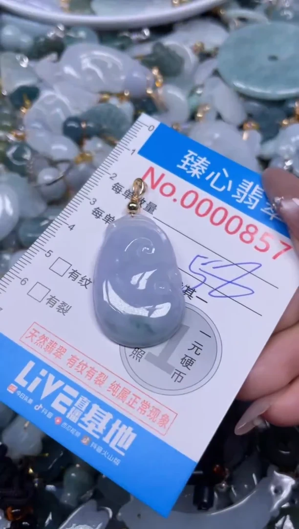 颈饰未镶嵌翡翠857