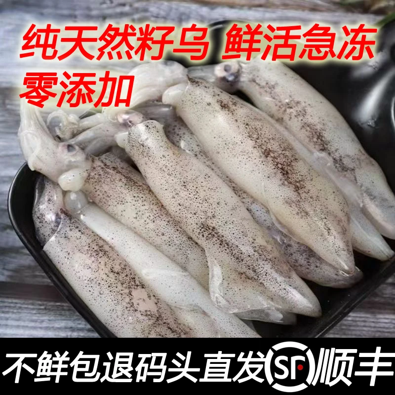 顺丰包邮活冻纯籽籽乌海兔子全籽天然籽乌新鲜活小笔管墨鱼鱿鱼仔