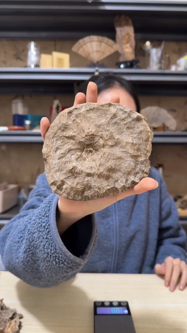 【闪购商品】沉香摆件4号顺化铁头野料块料20克 +