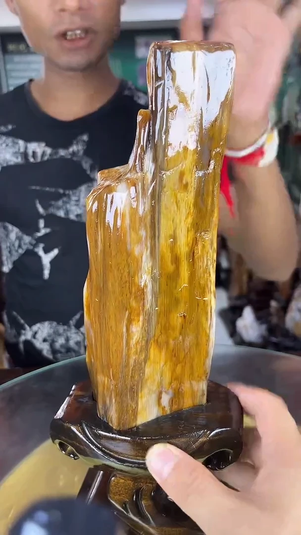 未镶嵌珠宝奇石硅化玉缅甸天然树化玉摆件