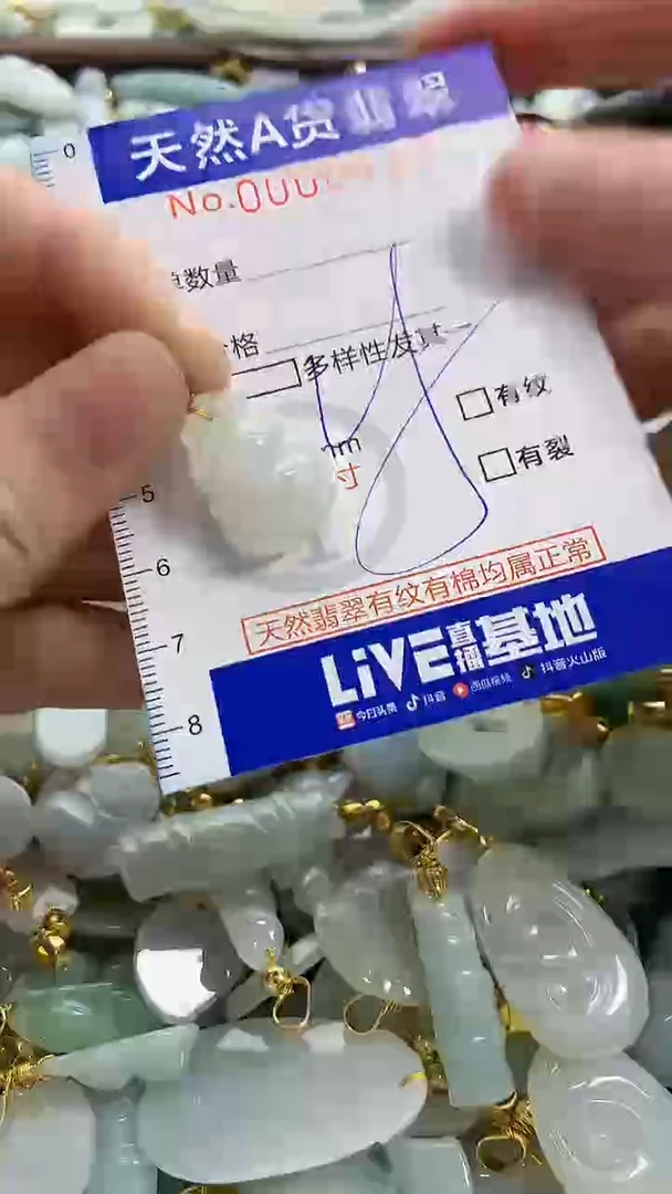 颈饰未镶嵌翡翠纯天然a货翡翠1