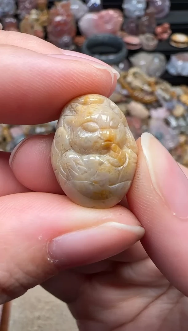 颈饰未镶嵌硅化珊瑚（珊瑚玉）494