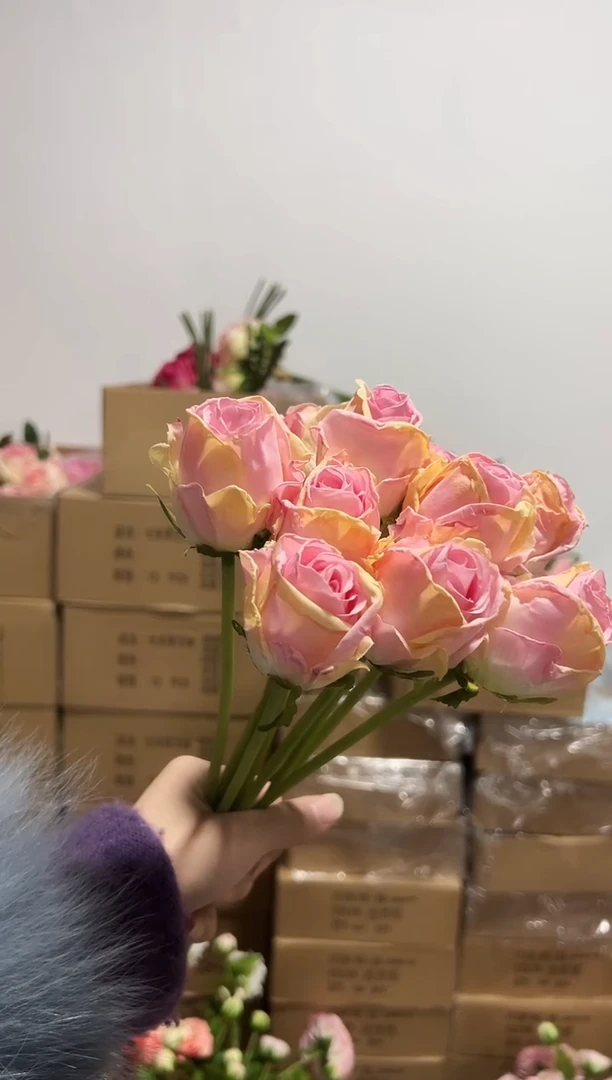 10枝粉色焦边泡泡