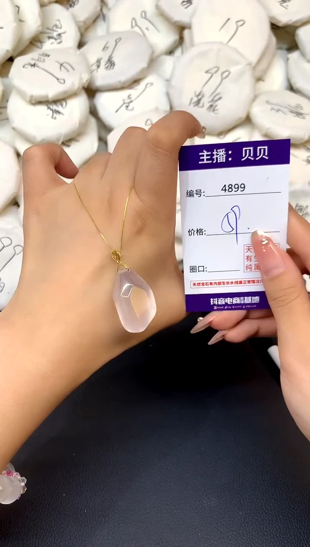 颈饰未镶嵌水晶4899
