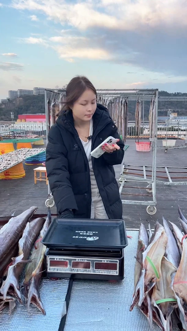 中国大陆1.6斤风鳗1条