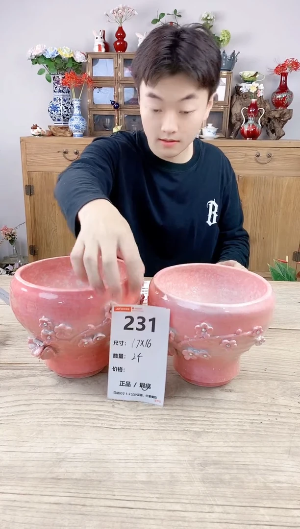 小玩子花盆直播号231