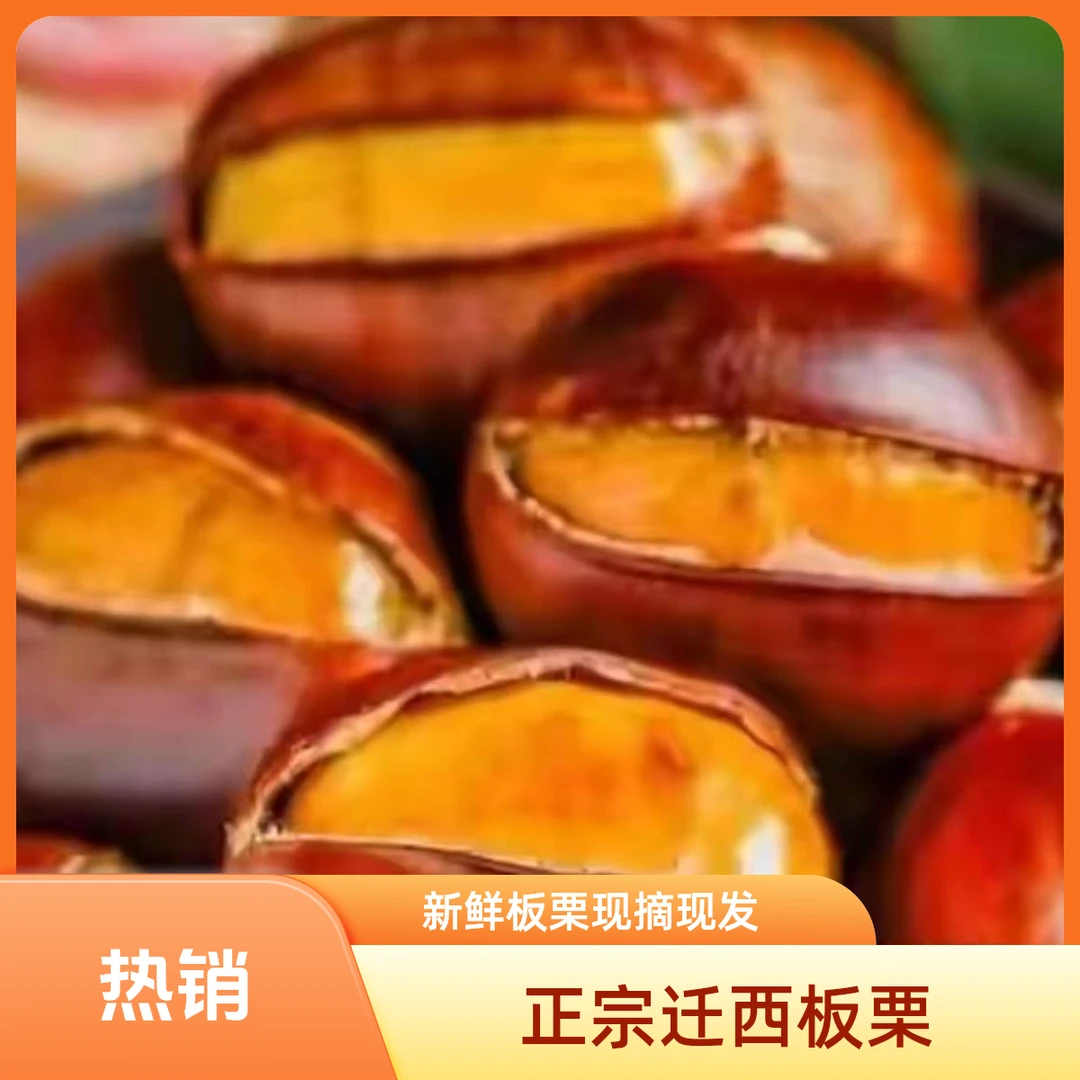 生鲜板栗，燕山迁西板栗