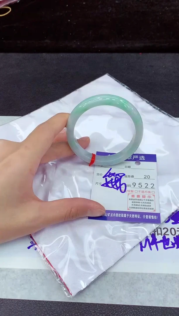 未镶嵌手镯翡翠11