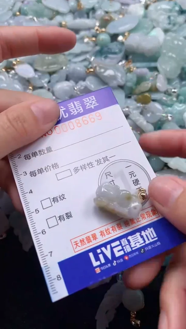 颈饰未镶嵌翡翠8669